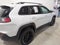 2020 Jeep Cherokee Trailhawk 4x4
