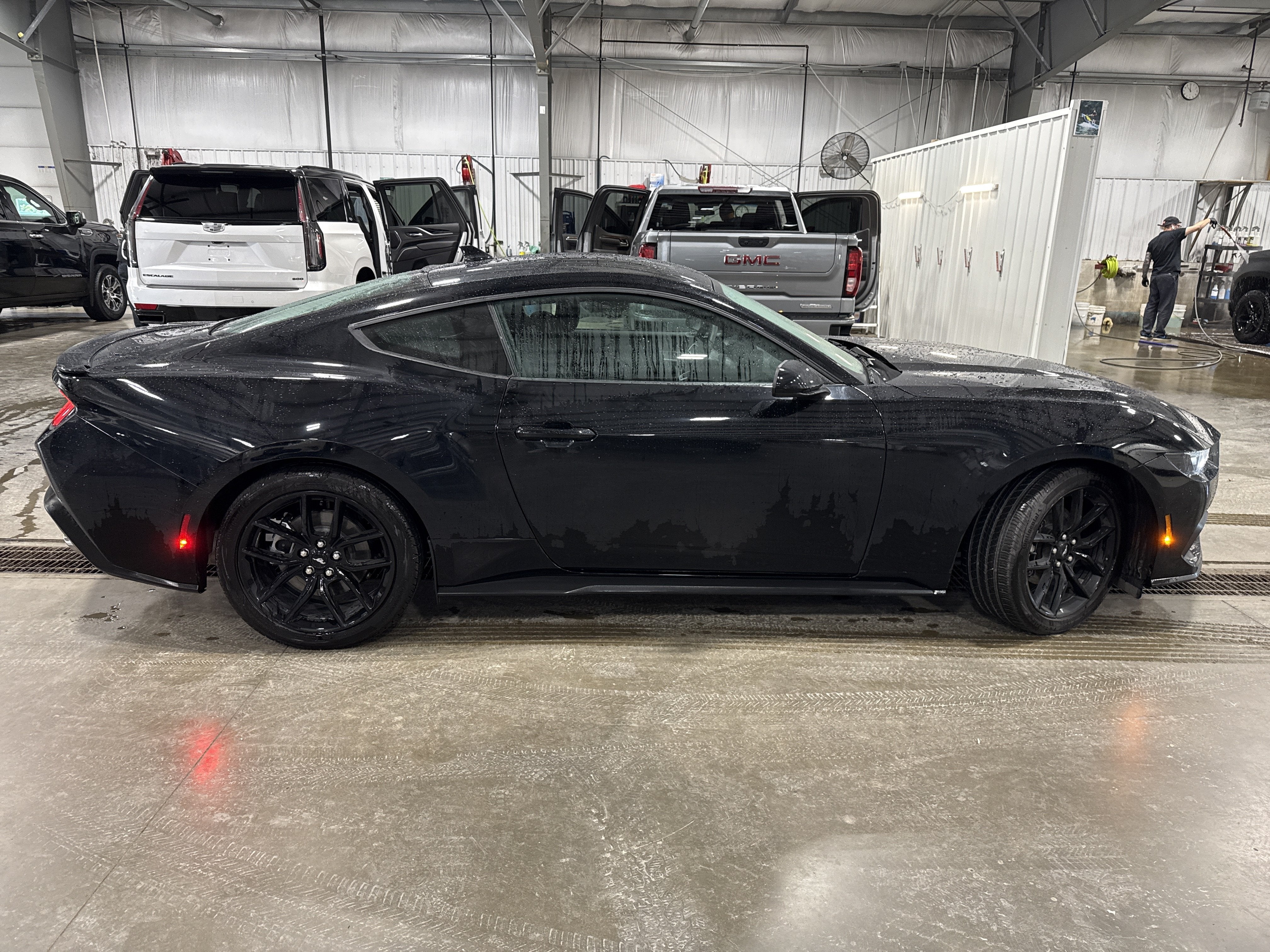2026 Ford Mustang EcoBoost Fastback